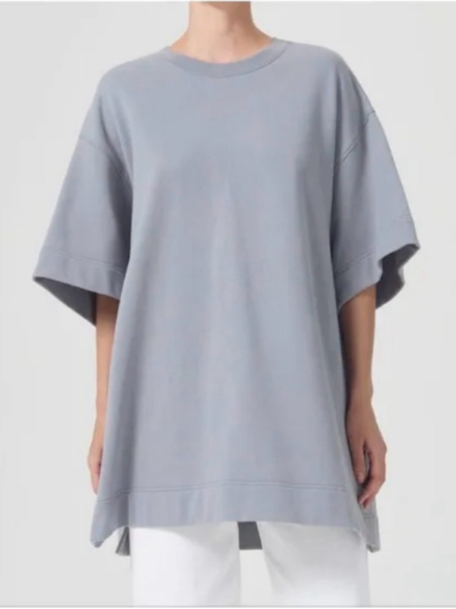 Agolde Hunter Oversized Short Sleeve Tunic Sweatshirt In Skyscraper Medium